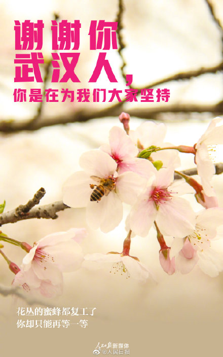 謝謝武漢人的堅(jiān)持